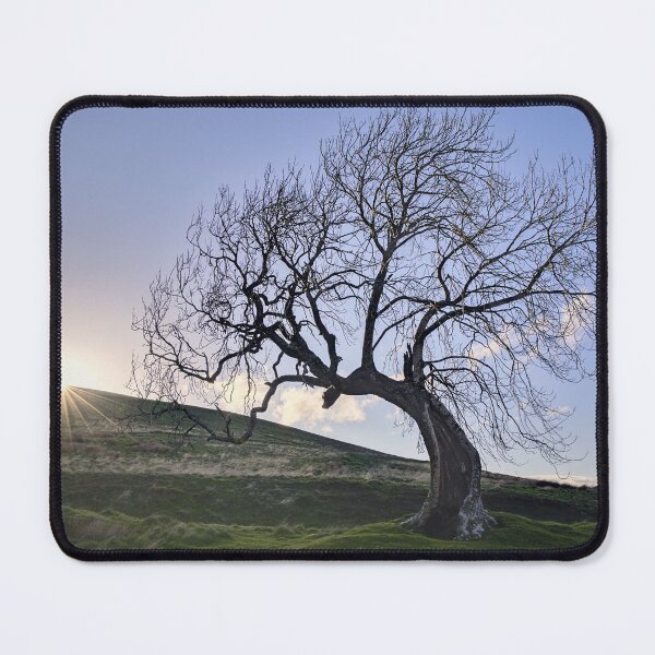 Item preview, Sunset by the Frandy Tree designed and sold by ShinyPhoto.