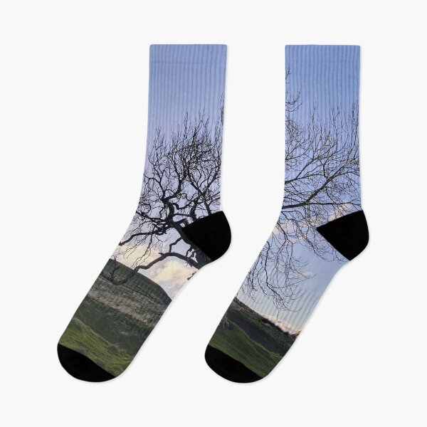 Item preview, Sunset by the Frandy Tree designed and sold by ShinyPhoto.