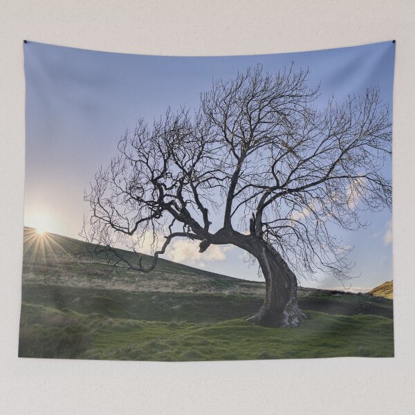 Item preview, Sunset by the Frandy Tree designed and sold by ShinyPhoto.