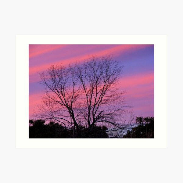 Days End 1 Art Print