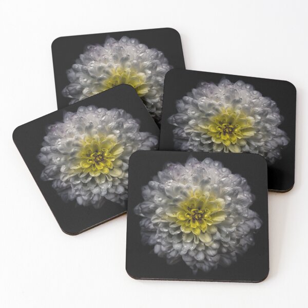 Item preview, Backyard Flowers No 46 Color Version designed and sold by The Learning Curve Photography.