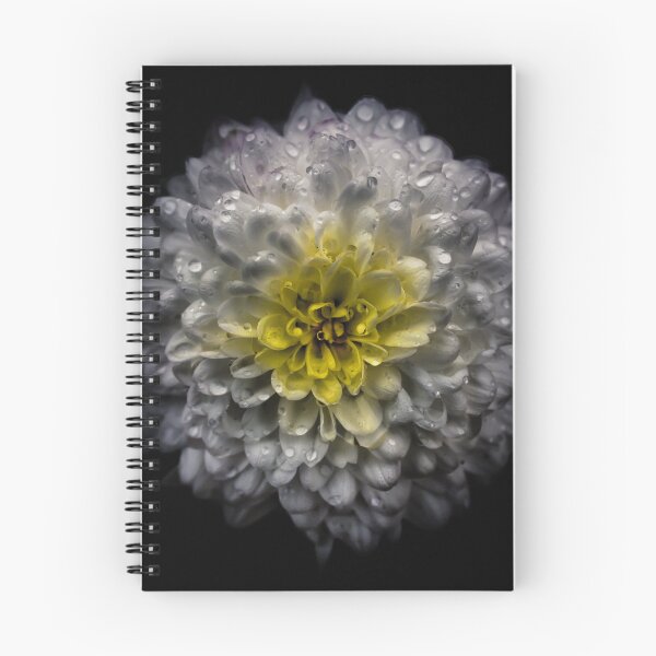 Item preview, Backyard Flowers No 46 Color Version designed and sold by The Learning Curve Photography.