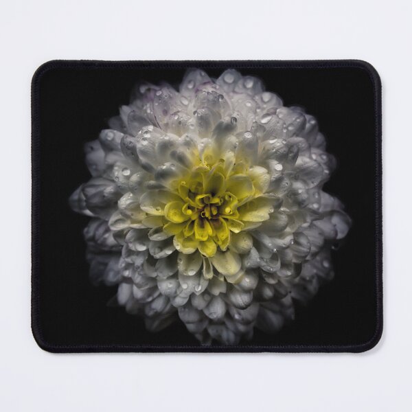 Item preview, Backyard Flowers No 46 Color Version designed and sold by The Learning Curve Photography.