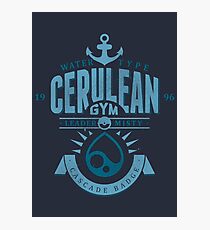 Cerulean Gym Photographic Print