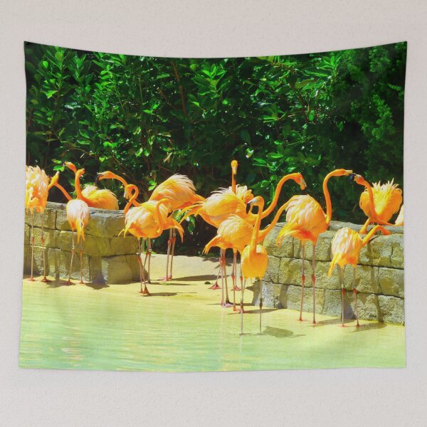 Aperçu de l'œuvre Flamants roses créée et vendue par DomGDesign.