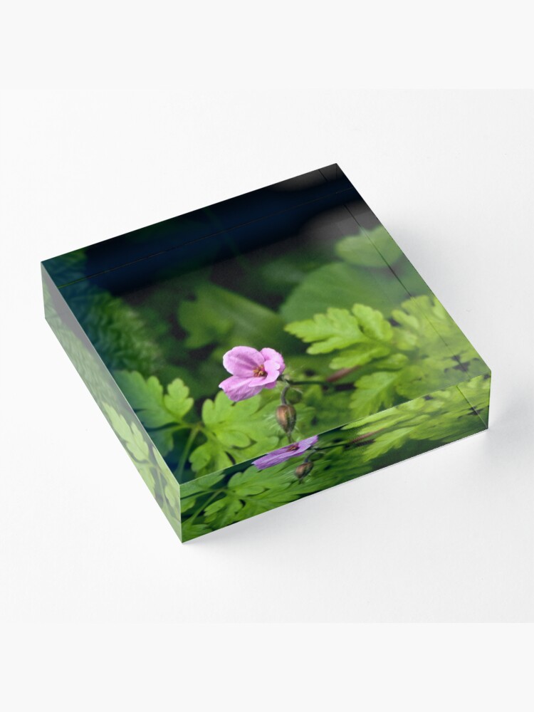 Alternate view of Cranesbill Acrylic Block