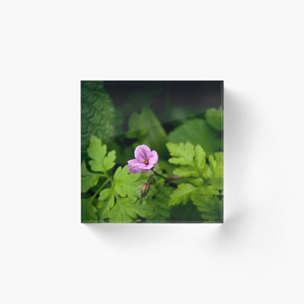 Cranesbill Acrylic Block