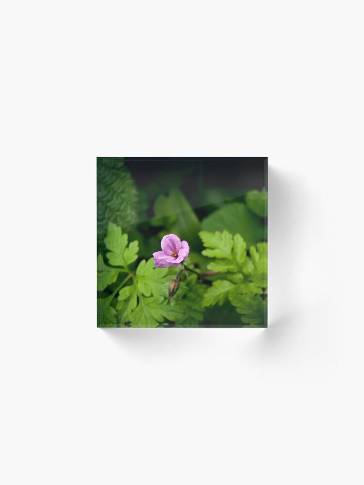 Alternate view of Cranesbill Acrylic Block