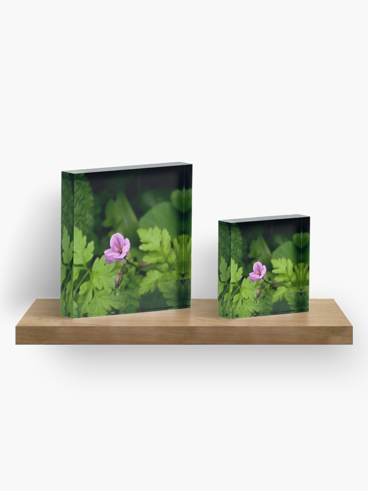 Alternate view of Cranesbill Acrylic Block
