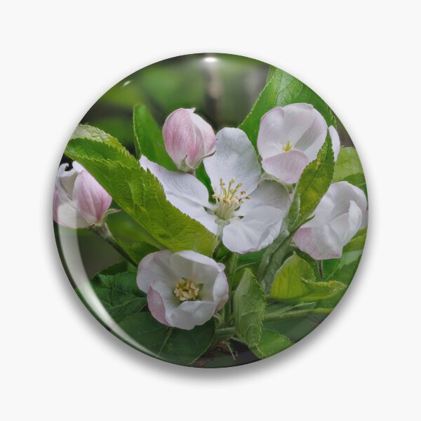 Item preview, Apple Blossom designed and sold by Graham Prentice.