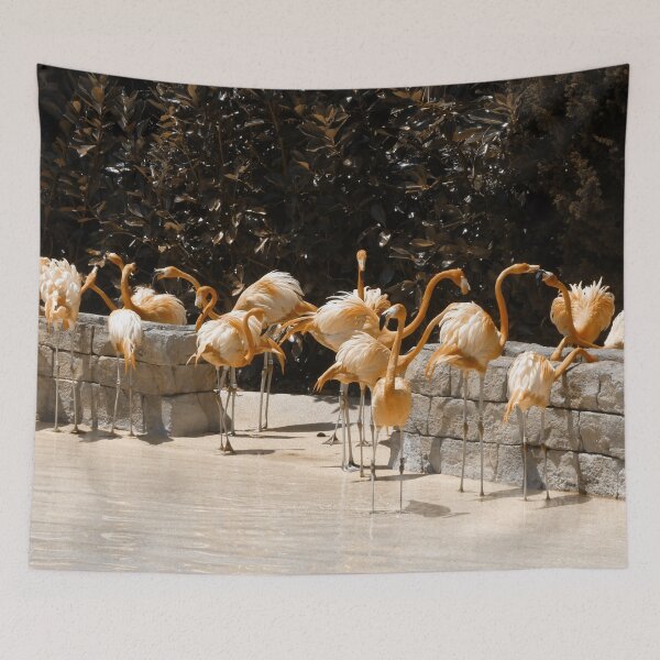 Aperçu de l'œuvre Flamants roses créée et vendue par DomGDesign.