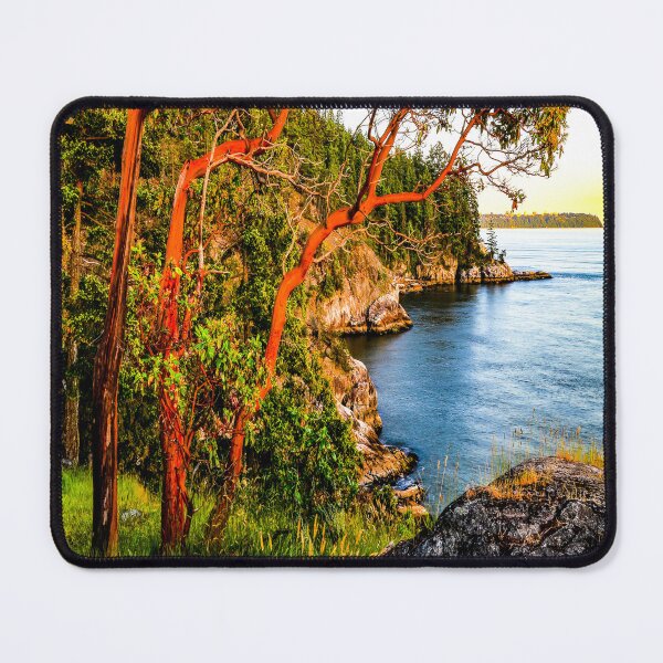 Item preview, fwc 2915 Canada Earth designed and sold by fred chiea.