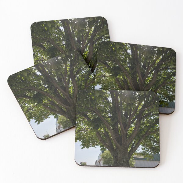 Item preview, Sun Peeking Through Leaves designed and sold by Carly-Chapman.