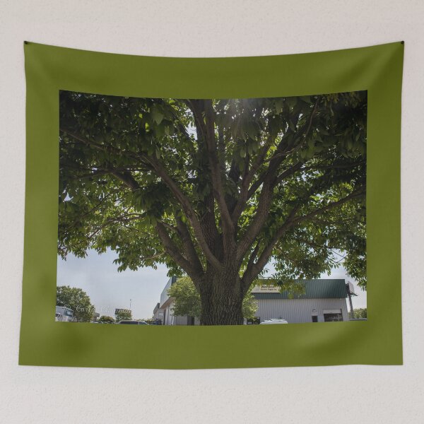 Item preview, Sun Peeking Through Leaves designed and sold by Carly-Chapman.