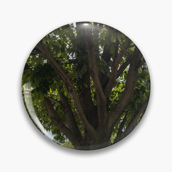 Item preview, Sun Peeking Through Leaves designed and sold by Carly-Chapman.