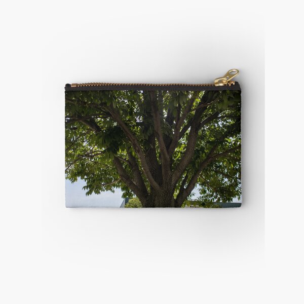 Item preview, Sun Peeking Through Leaves designed and sold by Carly-Chapman.