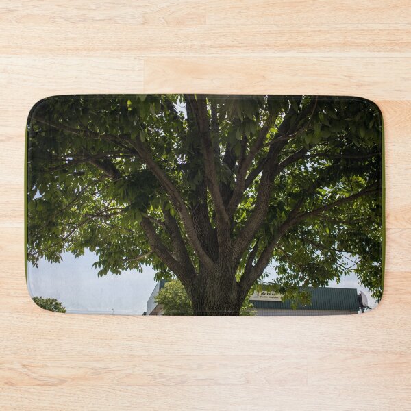 Item preview, Sun Peeking Through Leaves designed and sold by Carly-Chapman.