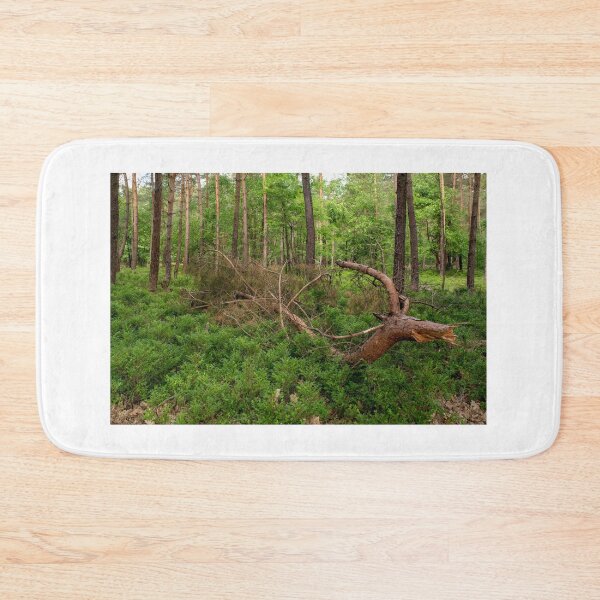 Item preview, Spring in the forrest designed and sold by Frits Klijn (klijnfoto.nl).