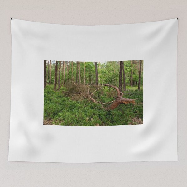 Item preview, Spring in the forrest designed and sold by Frits Klijn (klijnfoto.nl).