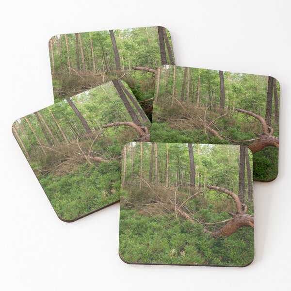 Item preview, Spring in the forrest designed and sold by Frits Klijn (klijnfoto.nl).