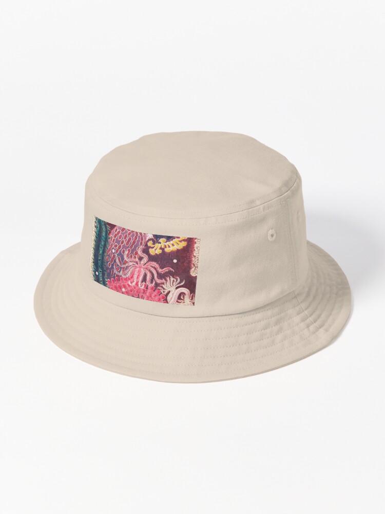 Thumbnail 1 von 6, Bucket Hat, Seegurke Trepang Vintage Sea Life Illustration designt und verkauft von VintageArchive.