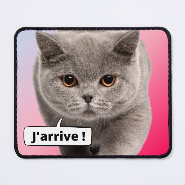 Item preview, Interjection and Cat Monologue - I'm coming designed and sold by Cilea Sabie.