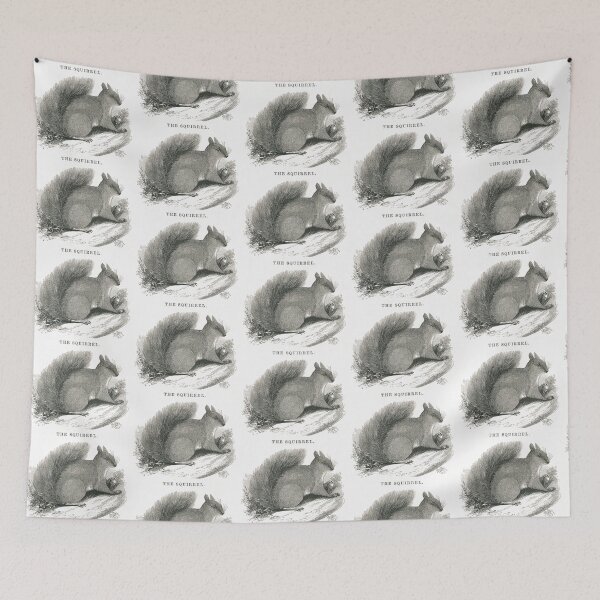 Item preview, The Squirrel designed and sold by azroger.