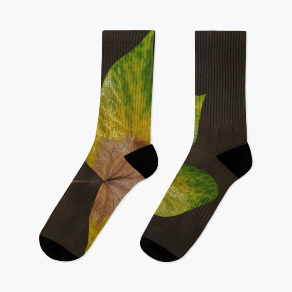 Item preview, Autumn Ivy Leaf designed and sold by cmphotographs.