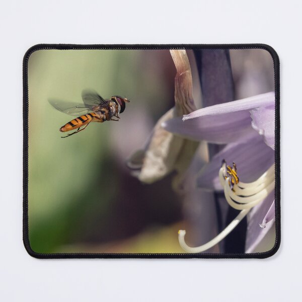 Item preview, A hover fly  designed and sold by cmphotographs.