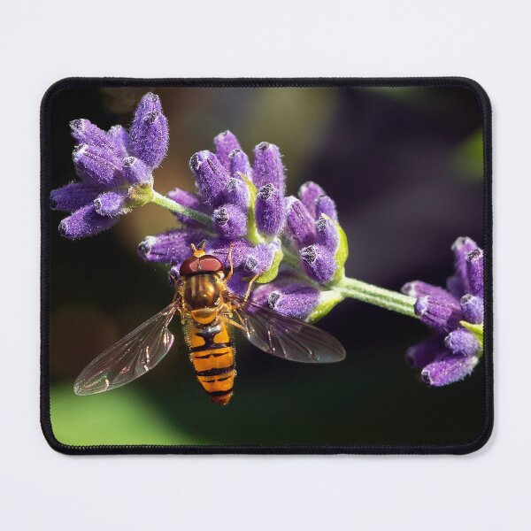 Item preview, A hover fly  designed and sold by cmphotographs.
