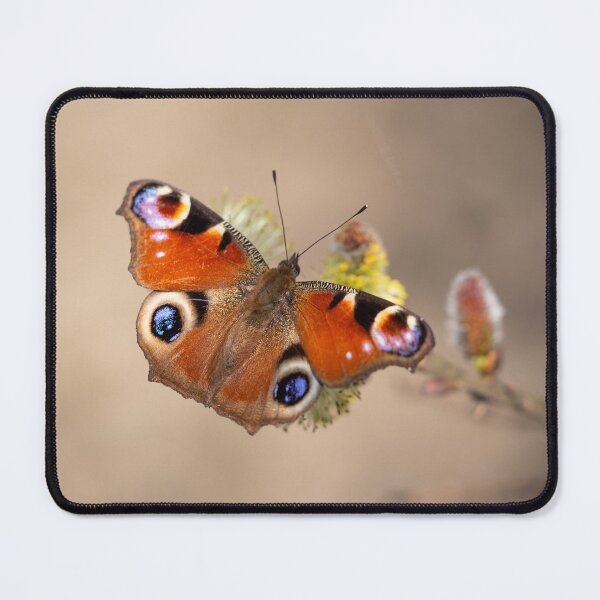 Item preview, European peacock butterfly designed and sold by JHcolors.