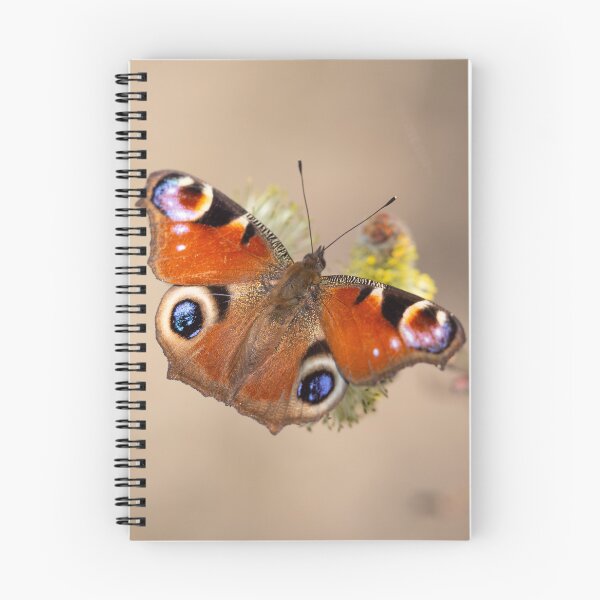 Item preview, European peacock butterfly designed and sold by JHcolors.