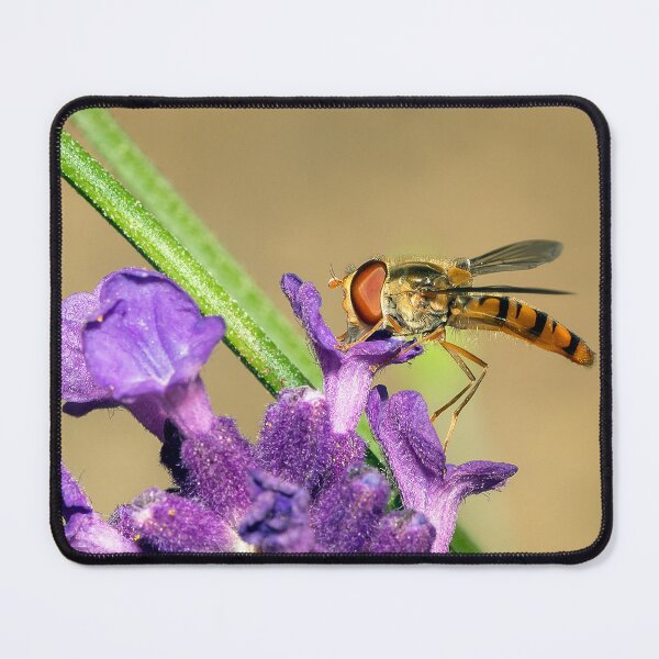Item preview, A hover fly designed and sold by cmphotographs.