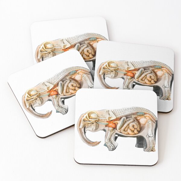Item preview, icon Trunk sticker elephant anatomy for animal lovers designed and sold by Shifa19.