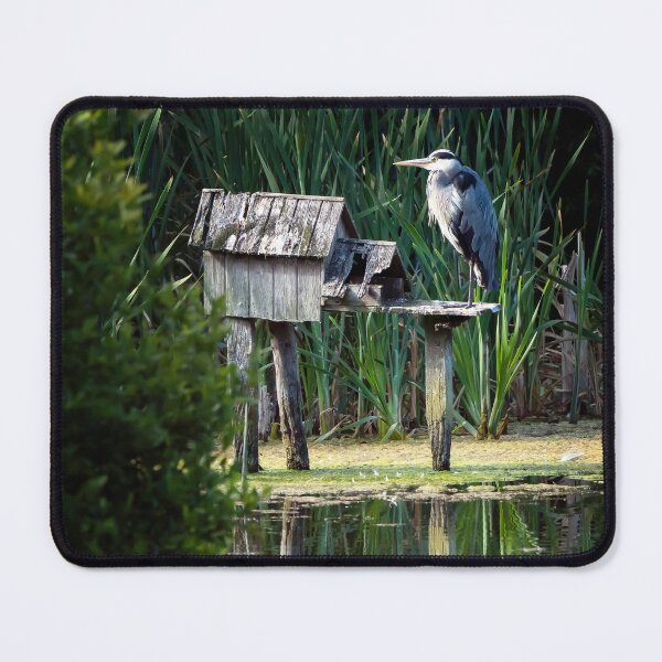 Item preview, The Heron designed and sold by cmphotographs.