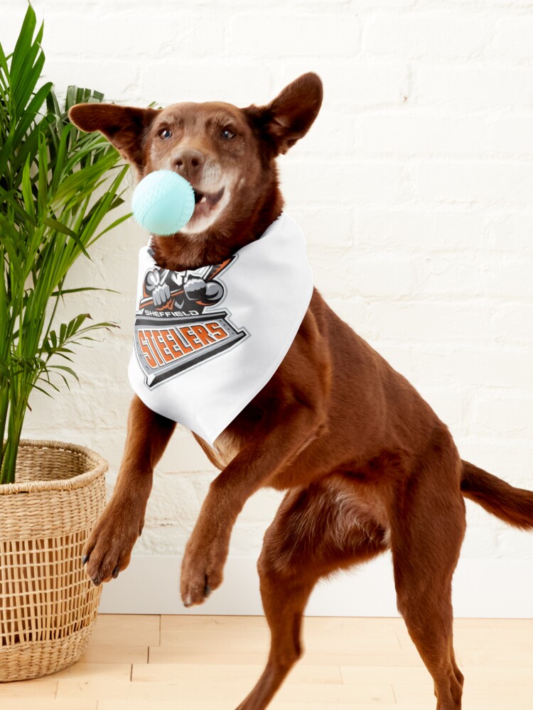 Steelers Dog Jacket – Sheffield Steelers Store