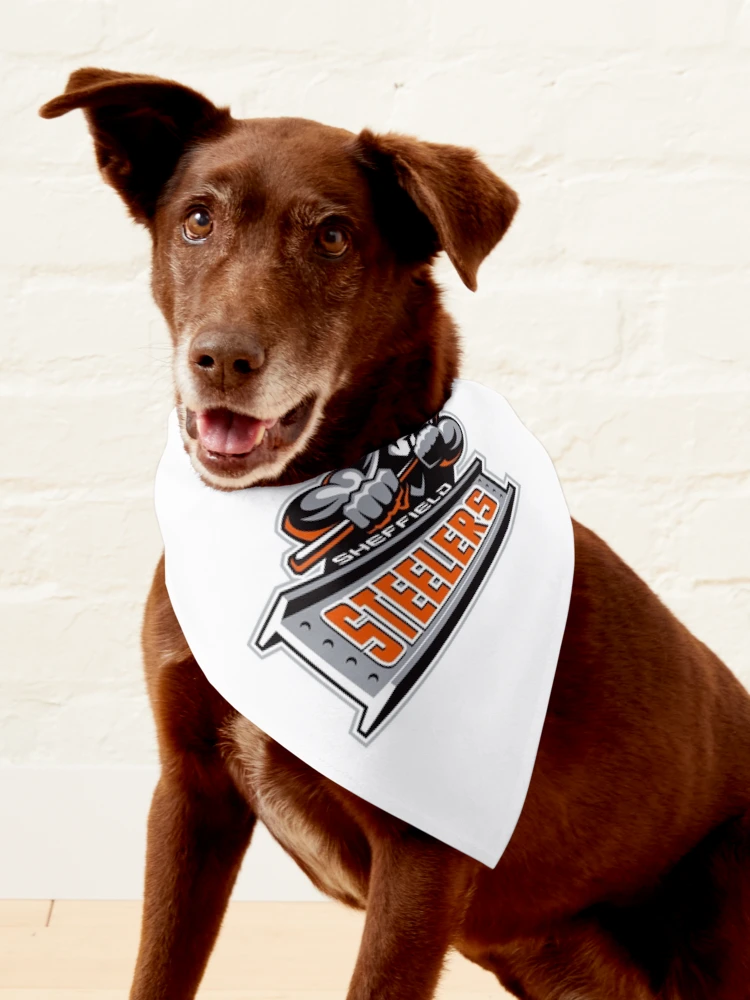 flyers pet jersey