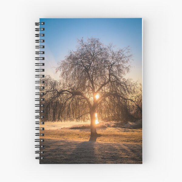 Item preview, Weeping Willow Tree Sunrise  designed and sold by manateevoyager.