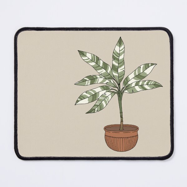 Item preview, Variegated Musa (Banana Tree) designed and sold by TASORA.