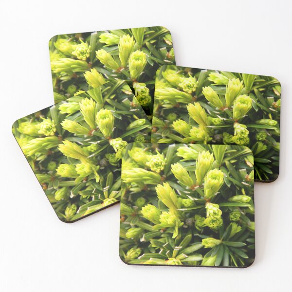 Item preview, Bouquet of Green designed and sold by truekaia.