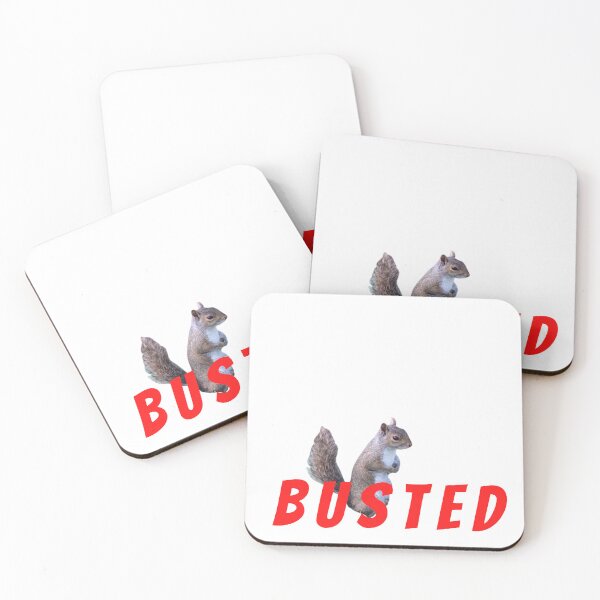 Item preview, Busted Squirrel designed and sold by boomantique.