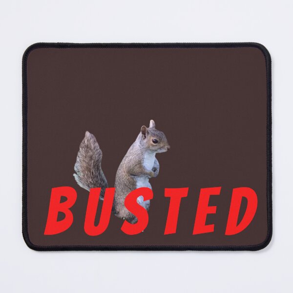 Item preview, Busted Squirrel designed and sold by boomantique.