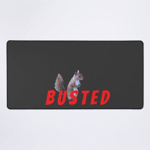 Item preview, Busted Squirrel designed and sold by boomantique.