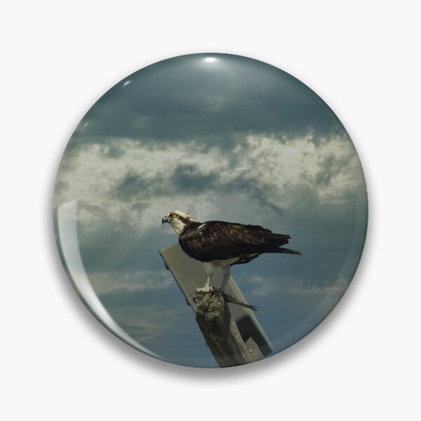 Item preview, Osprey Keeping Watch designed and sold by ShorelineImages.