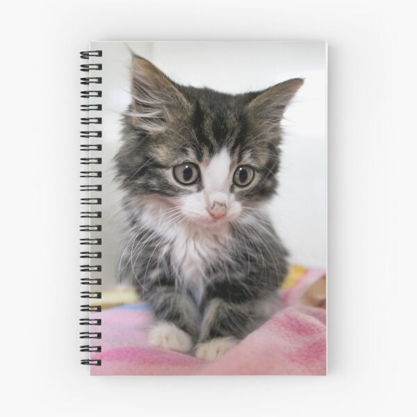 Item preview, Itty Bitty Cutie Kitty designed and sold by Ladymoose.