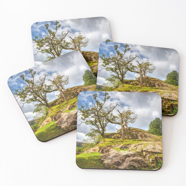Item preview, Trees On The Rocks designed and sold by Paul Thompson Photography.
