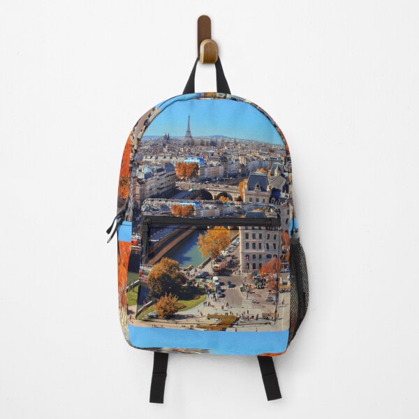 Item preview, View of Paris from Notre Dame, past and present designed and sold by Sara Sanchez PHOTO.