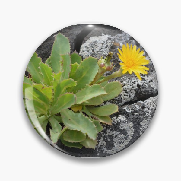 Item preview, Flor amarilla en rocas de lava designed and sold by Hilbert72.