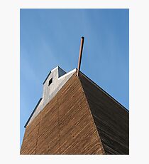 Reach to the skies Photographic Print