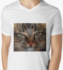 Pretty Girl Men's V-Neck T-Shirt